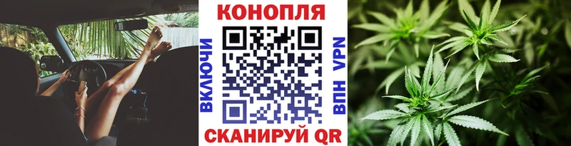 Купить где Балашиха Каннабис марихуана